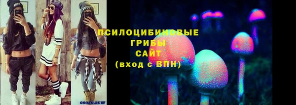 MESCALINE Аркадак