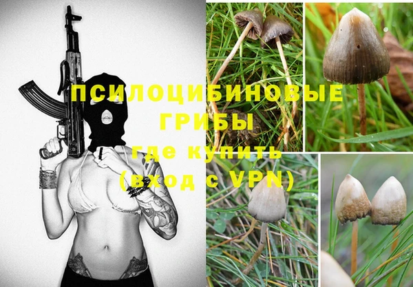 MESCALINE Аркадак